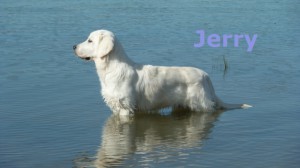 Jerry