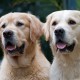 2010 07 24_0012_bearbeitet-1