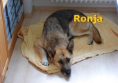 Ronja.Hr.Riedl