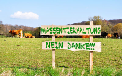 Der WDR fragt nach: Woher kommt das konventionelle Fleisch?