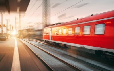 Mit Hund und Katze im Auto,-oder Nachtzug